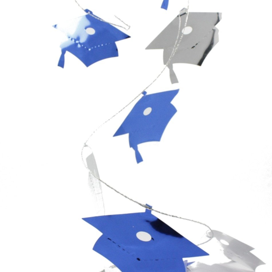 Blue And Silver Party Decorations N2