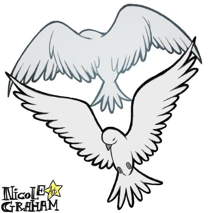 Dove Drawings N4