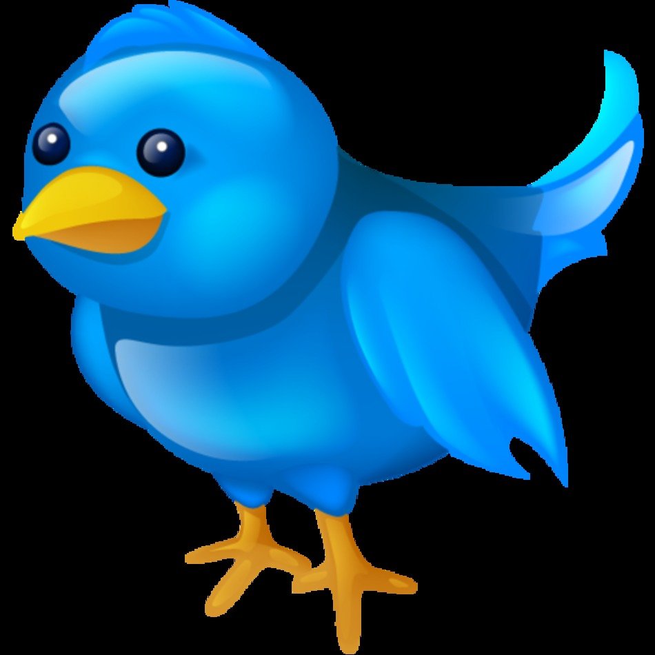 Free Twitter Icon
