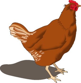 Hen Clip Art Free N2