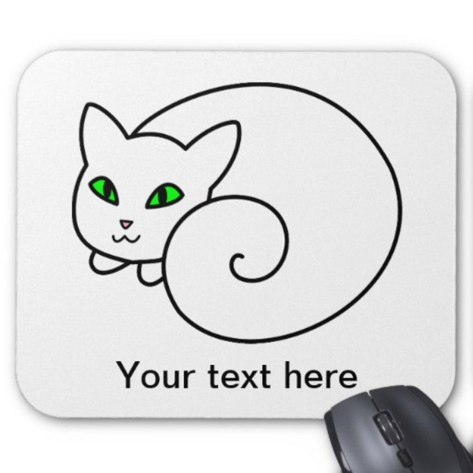 White Cats With Green Eyes In Snow Emeralds Name Comes From Her