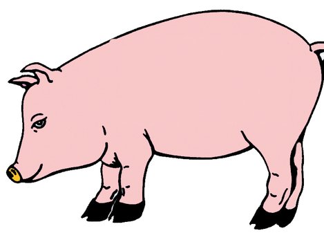 Pig Template