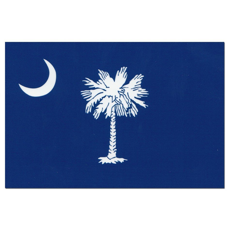 Image of palm tree and half moon on South Carolina Flag free image download