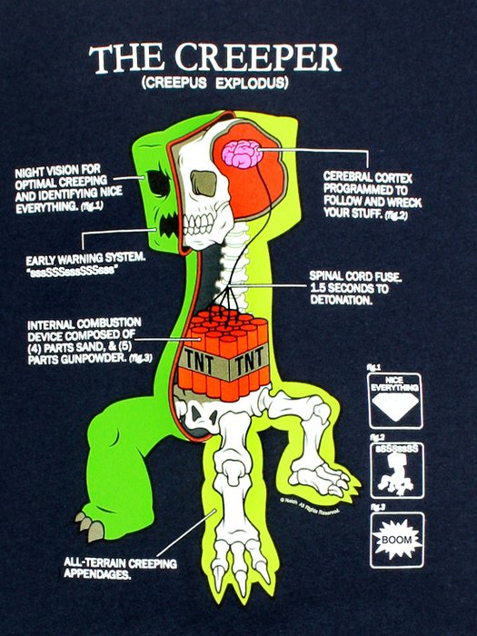 Minecraft Creeper Anatomy N2