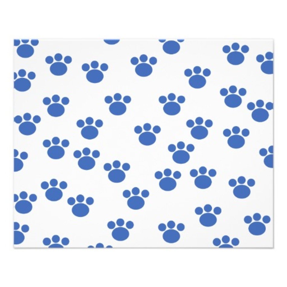 Animal Paw Print Pattern Blue And White Personalized Flyer