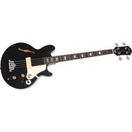 guitar on a white background
