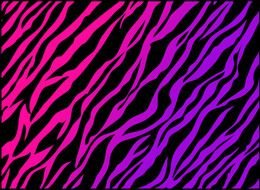 Colorful zebra pattern clipart