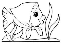 fish in a scarf as a graphic illustration