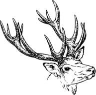 Cartoon Deer Head Clip Art N7