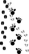 Hoof Print Clip Art N4