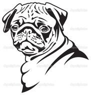 Pug Dog Line Drawing N2