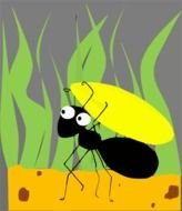 Ant Clip Art N81