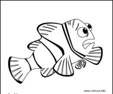 Finding Nemo Coloring Pages Printable