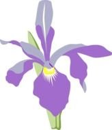 Clip art of Orchid Flower