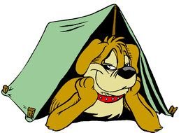 animated dog in tent