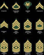US Army Ranks drawing
