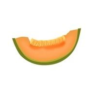 Cantaloupe Slices Clip Art
