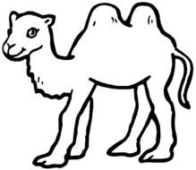 painted white camel