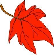 List Clip Art N51