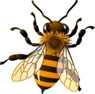 Honey Bee Clip Art N111