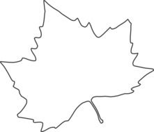 Leaf Outline Clip Art N10