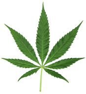 Pot Leaf N5