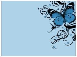 Blue Butterfly banner drawing