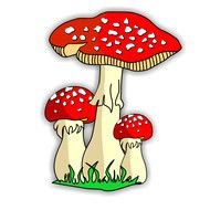 Fungi red drawing