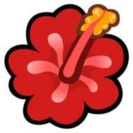 Hibiskus as a graphic illustration