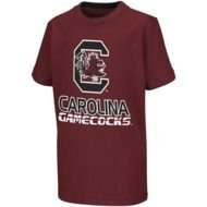 South Carolina Gamecocks N7