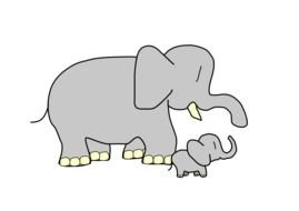 Baby Girl Elephant drawing