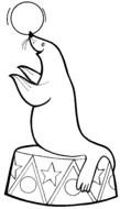 Seal with ball, circus, coloring page