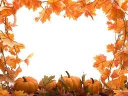 Fall Border with Pumpkins and mapple leaves