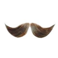 Mustache Clip Art N75