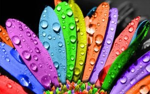 Colorful Flowers drawing
