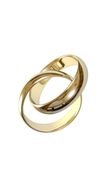 Couple Rings as a picture