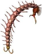 Bestiary Centipede Full