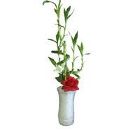 Bamboo Wedding Centerpieces