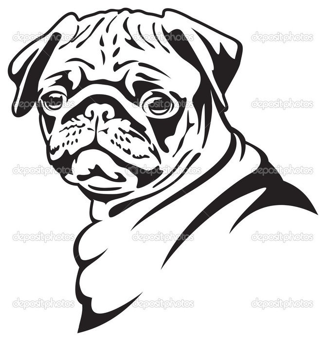Pug Dog Line Drawing N2