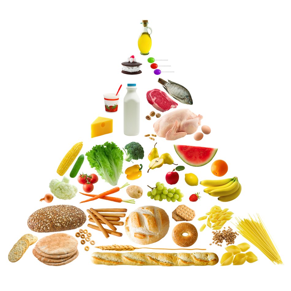 food pyramid as a picture for clipart