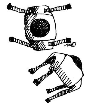 Discovery Clip Art Black And White