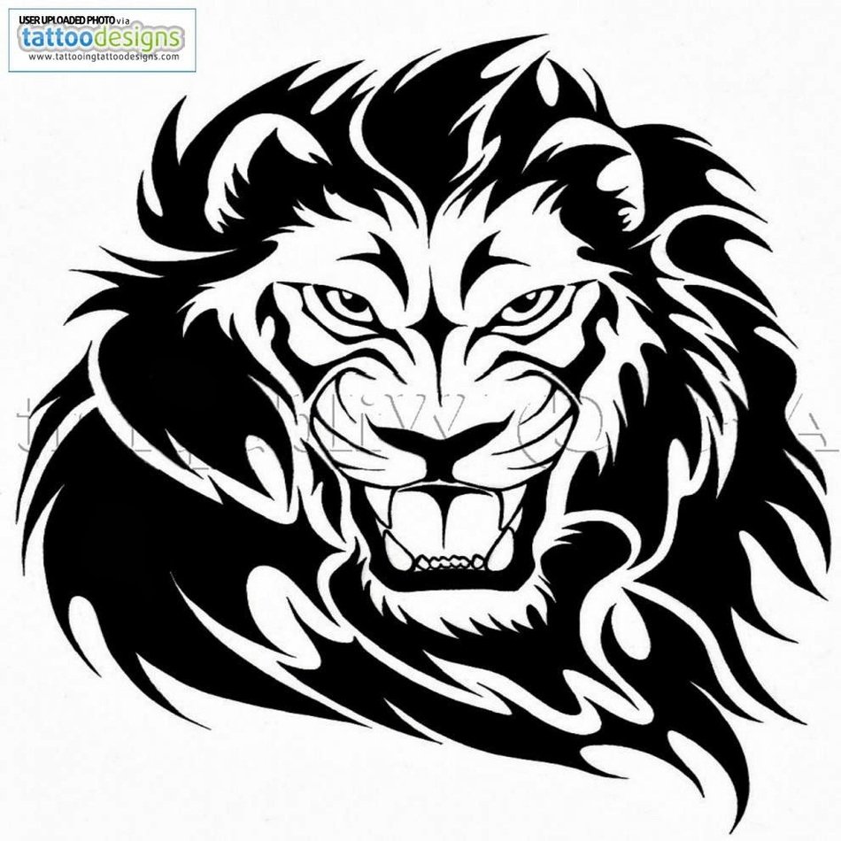 Tribal Lion Tattoo N7