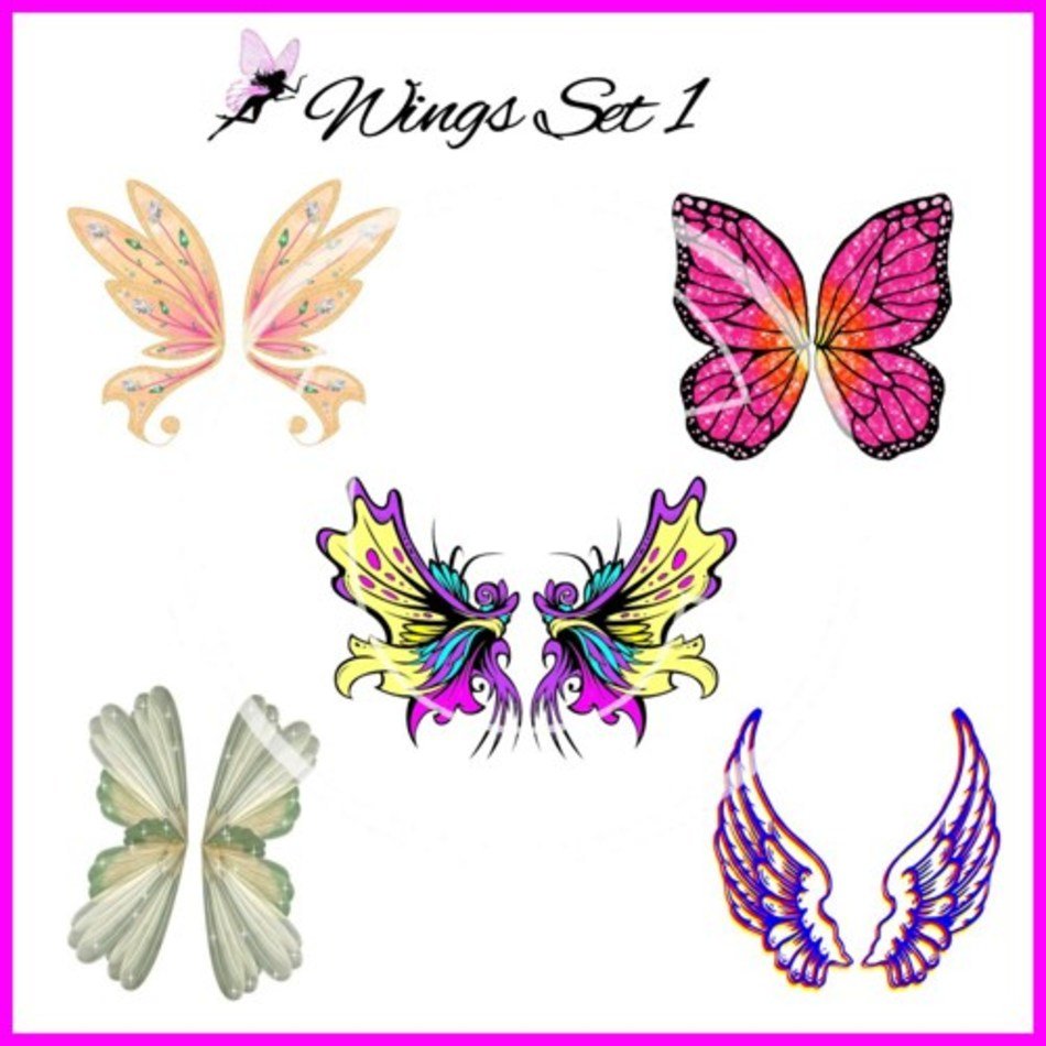Bird Wing Design