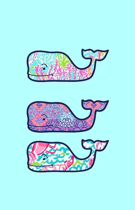 Lilly Pulitzer Vineyard drawing