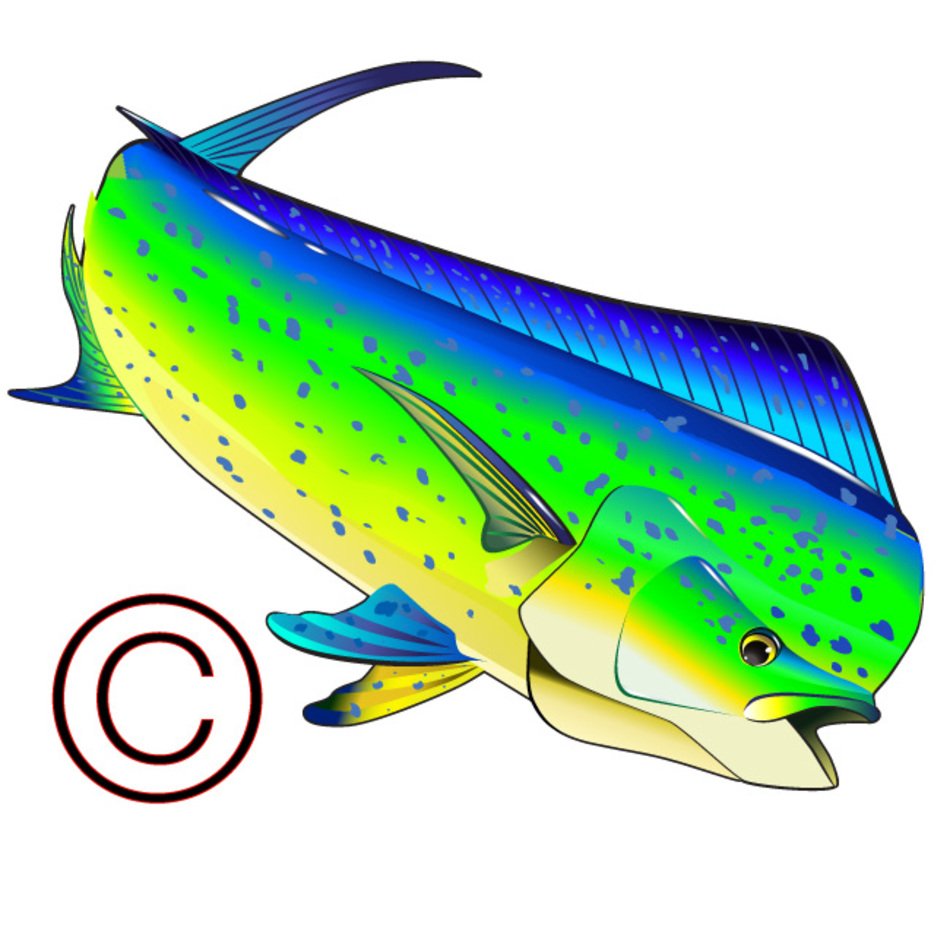 Dolphin Fish N2