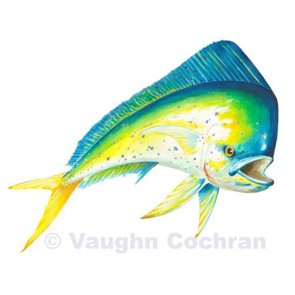 Mahi Fish N2
