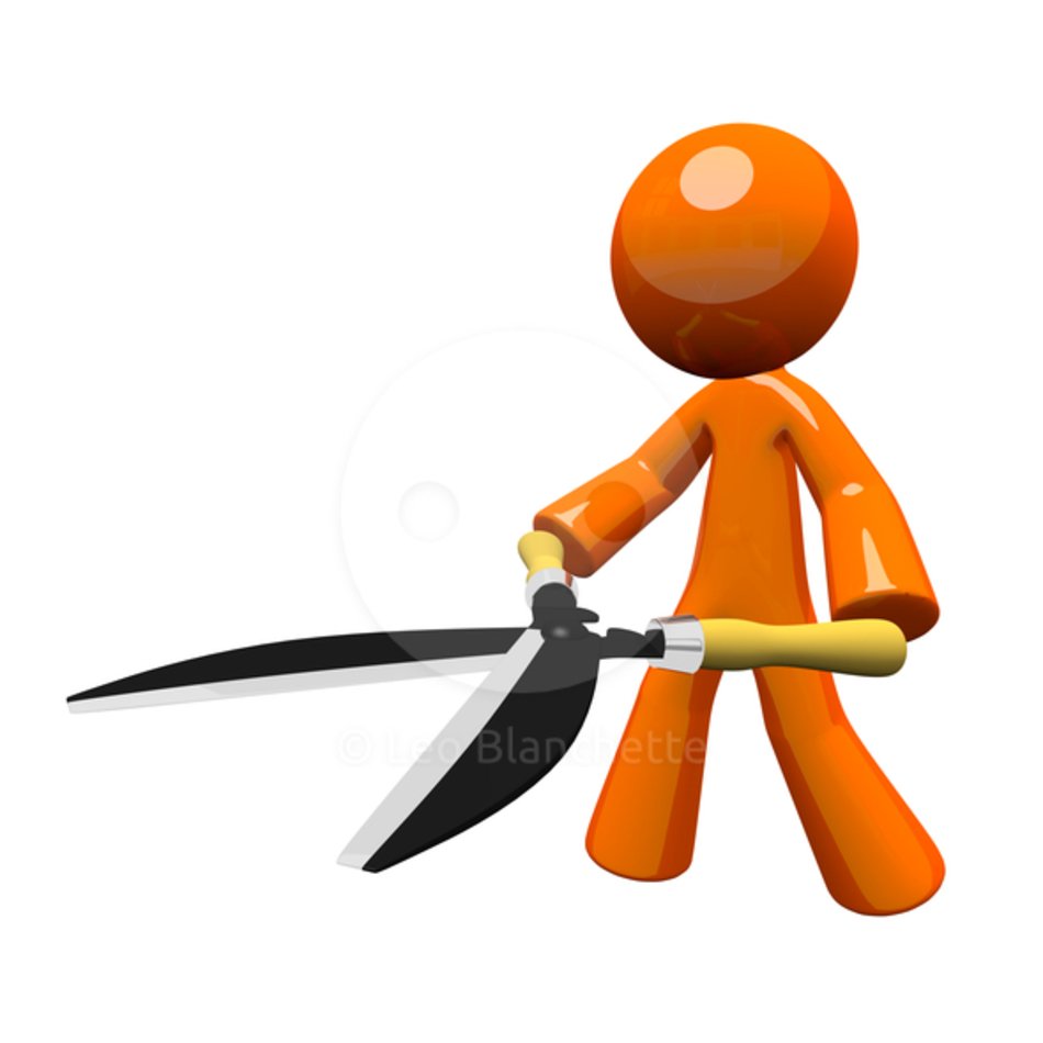 Hedge Trimmers N3