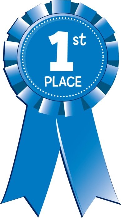 1st Place Blue Ribbon Clip Art N4