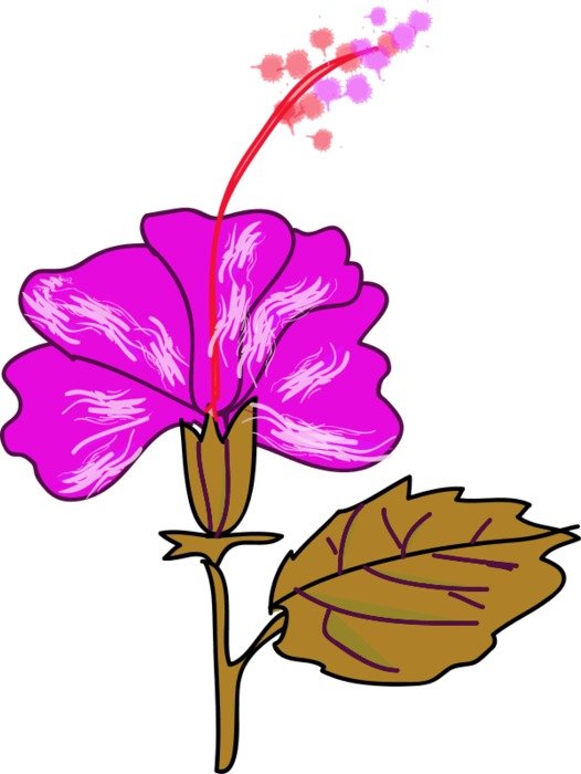 Magnolia Flower Clip Art N10