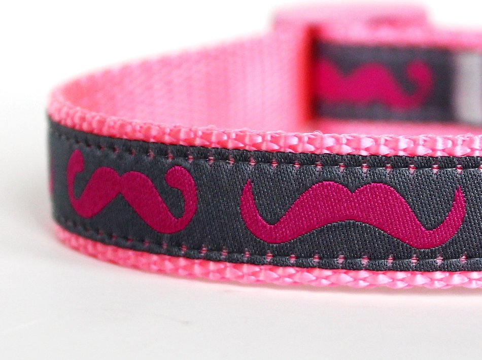pink mustache dog collar in a blurred background
